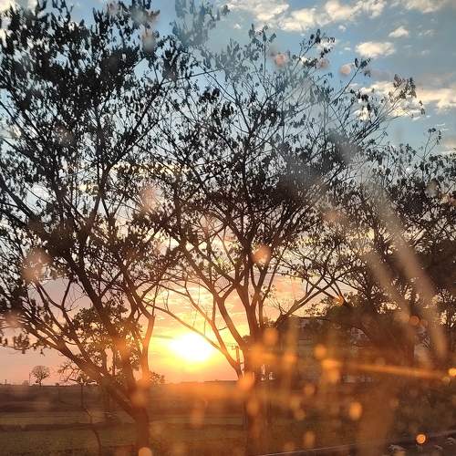 Photo #9285426
