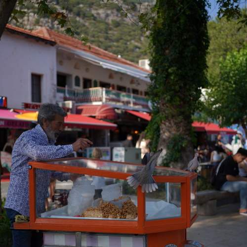 Photo #9285911