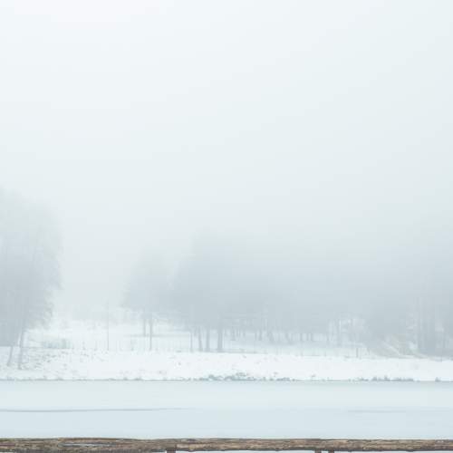 Photo #9285913