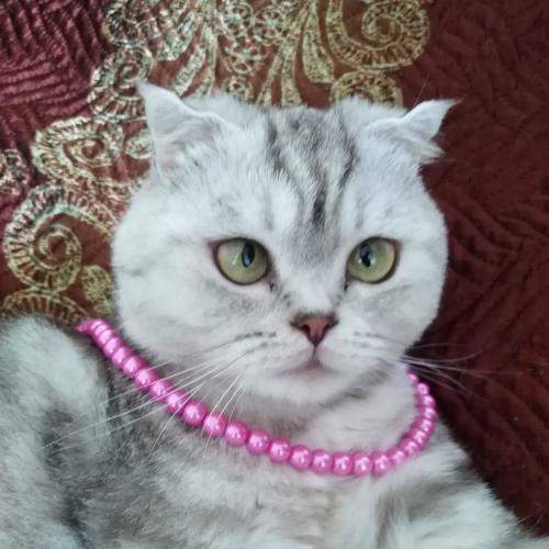 Photo #9285954