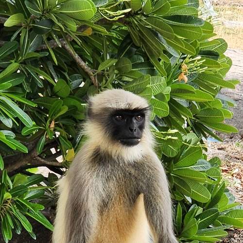 Photo #9286840