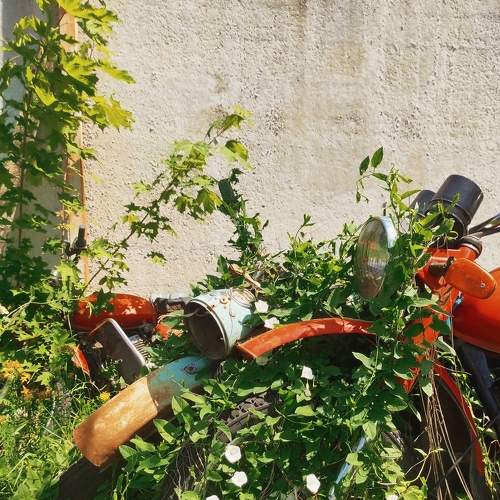 Photo #9287081
