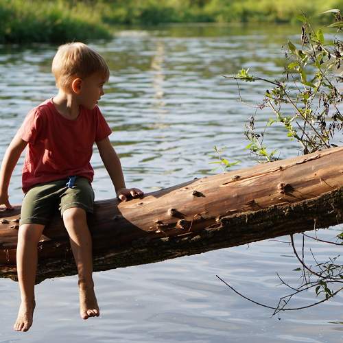 Photo #9287157