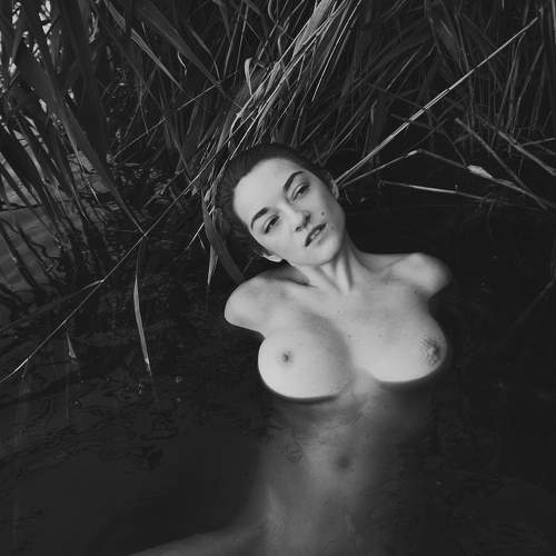 Photo #9287482