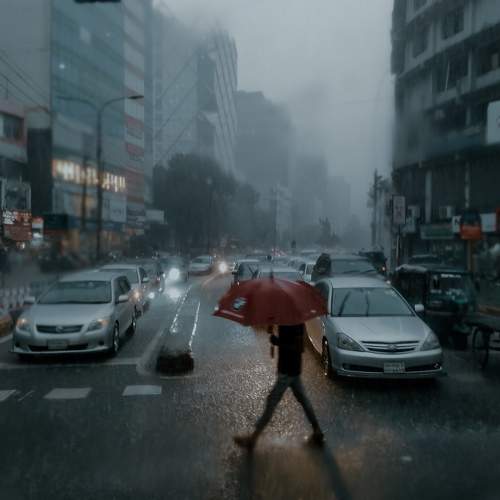 Photo #9287521