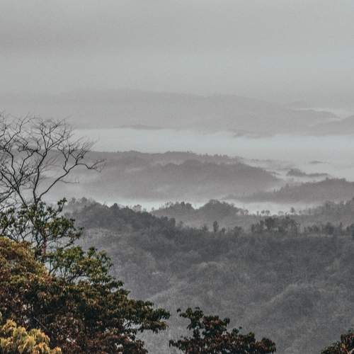 Photo #9287563