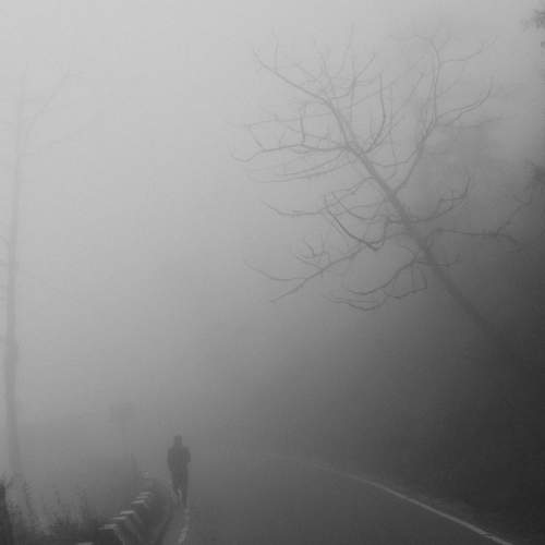 Photo #9287758