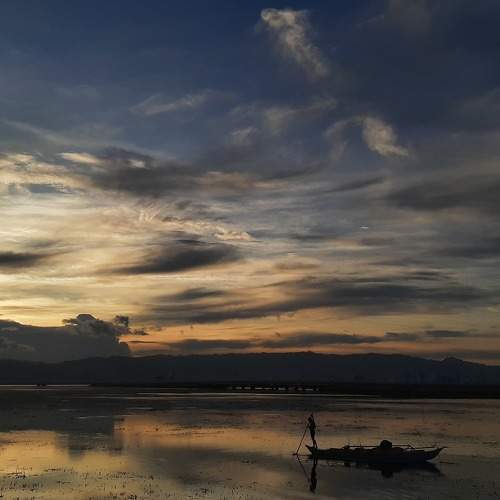 Hardworking at Sunset