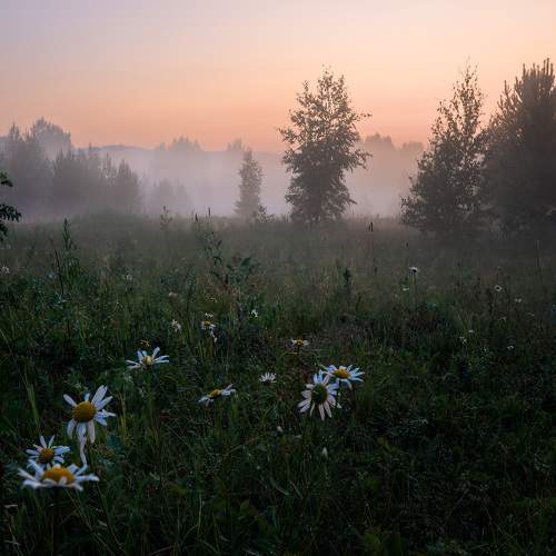 Photo #9288180
