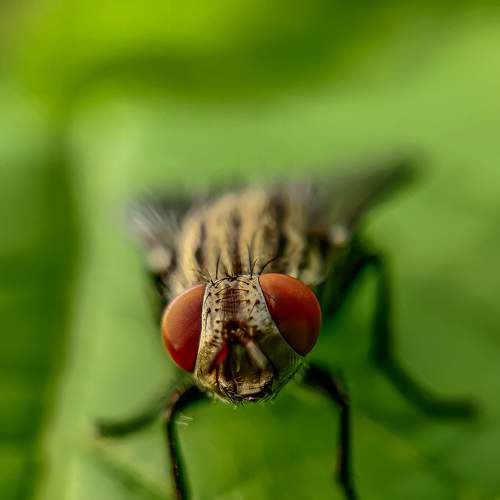 Photo #9288506