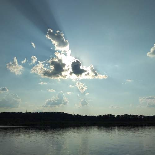 Photo #9288575