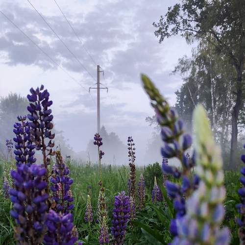 Photo #9288840