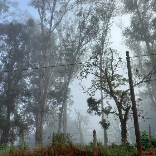 Photo #9288891