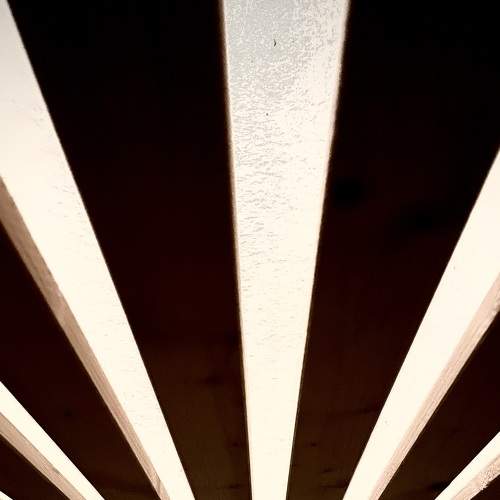 Photo #9289301