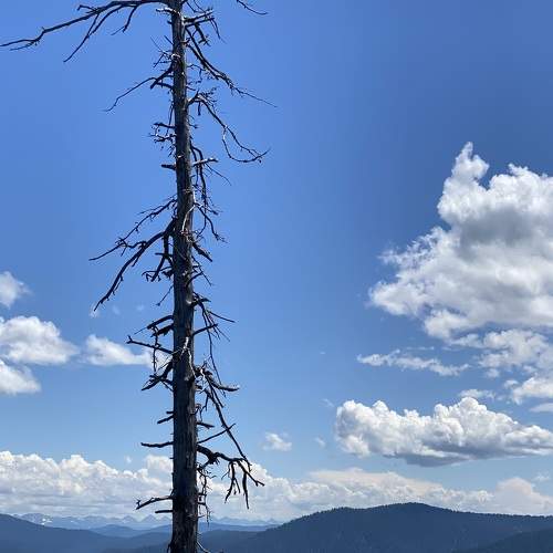 Photo #9289583