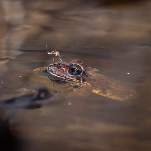 Photo #9289832