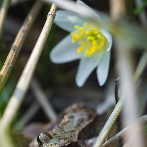 Photo #9289844