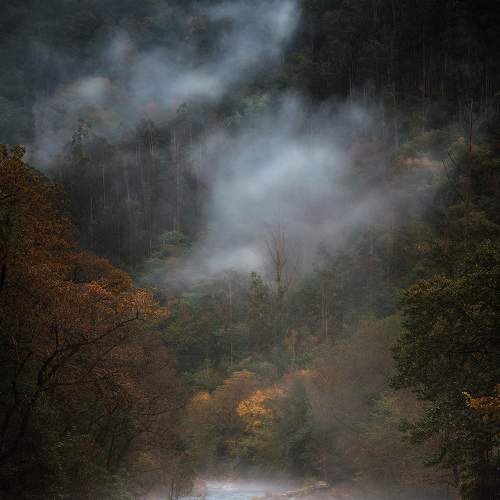 Фотография #9289901