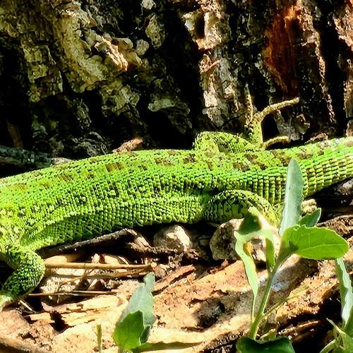 Photo #9290199