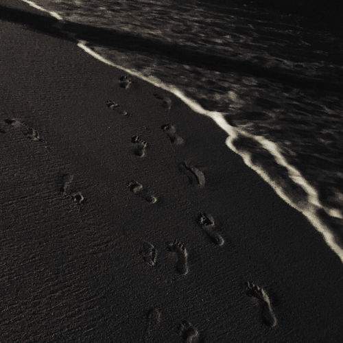 Photo #9290200