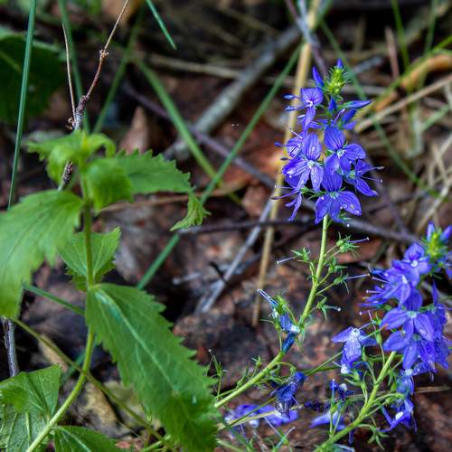 Photo #9290360