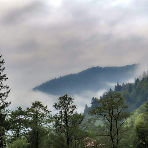 Photo #9290759