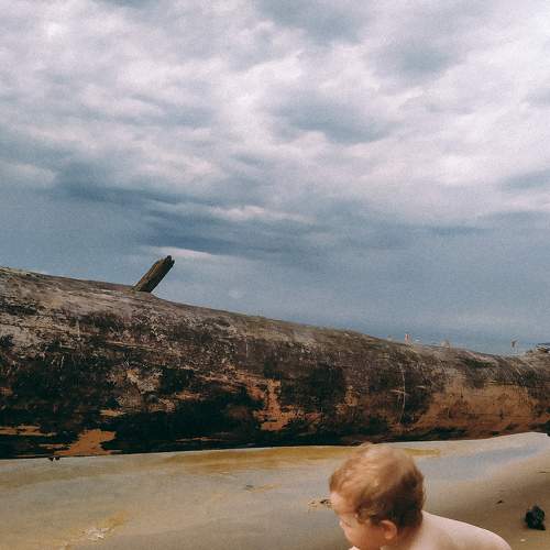 Photo #9291474