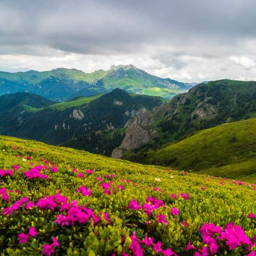 Photo #9291771
