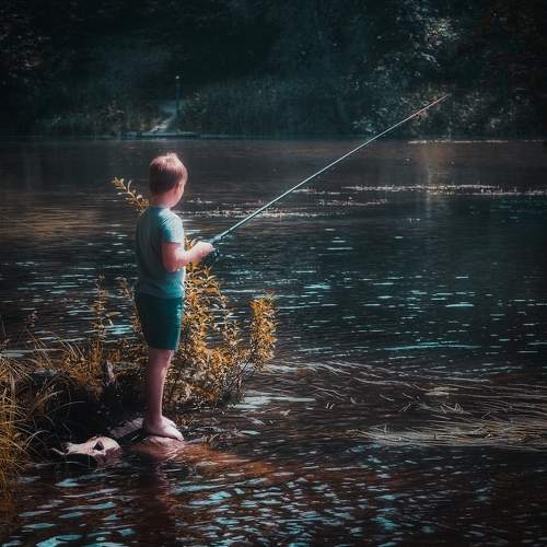 Photo #9292156