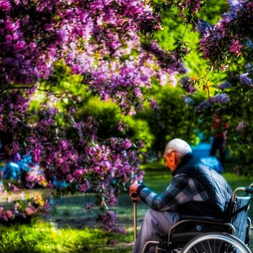 Photo #9292158