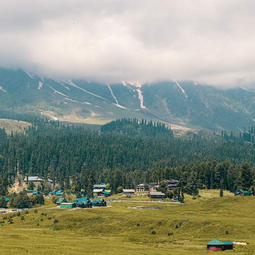 Photo #9292486
