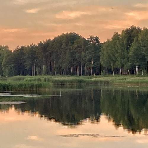 Photo #9292566