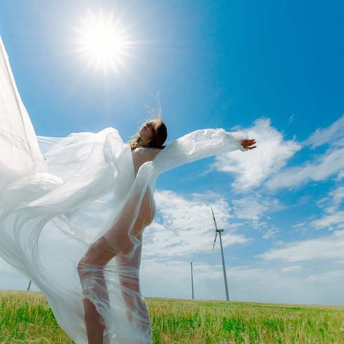 Photo #9292574