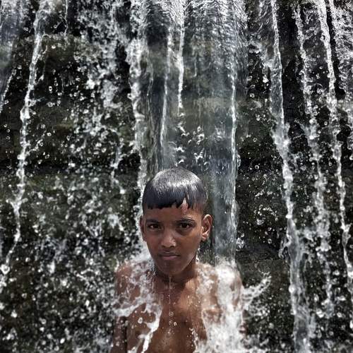Photo #9293065