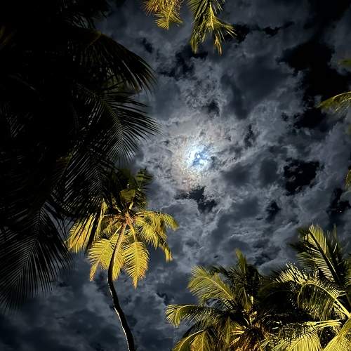 Photo #9293461