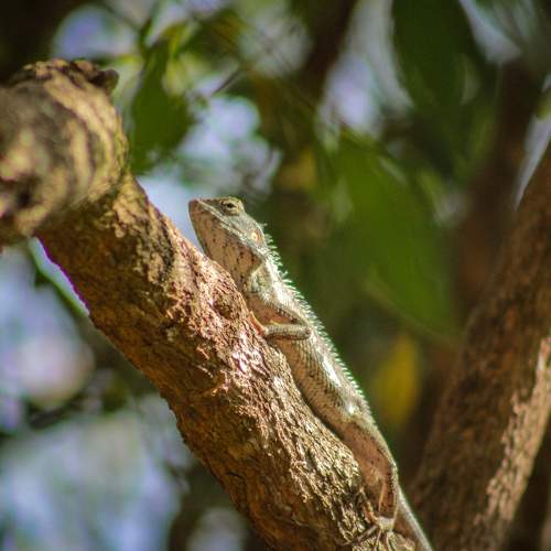 Photo #9293650