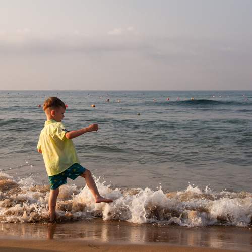 Photo #9293742