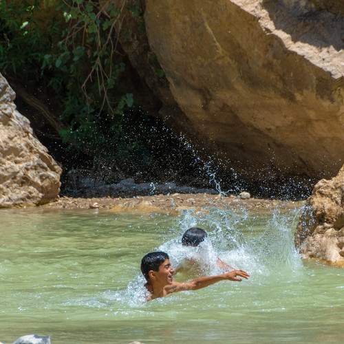 Photo #9294277
