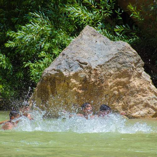 Photo #9294278