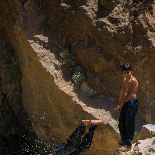 Photo #9294280