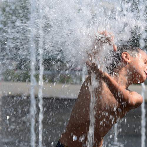 Photo #9294504