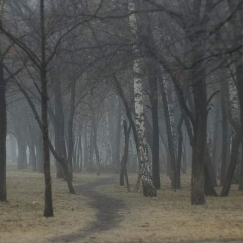 Photo #9294557