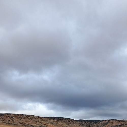 Photo #9294561