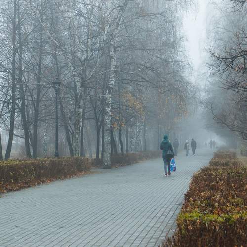 Photo #9294568