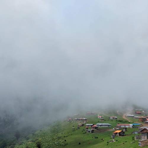 Photo #9294575
