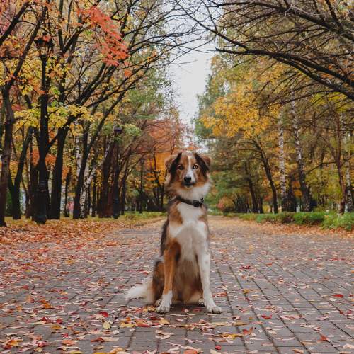 Photo #9294611