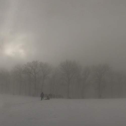 Photo #9295626