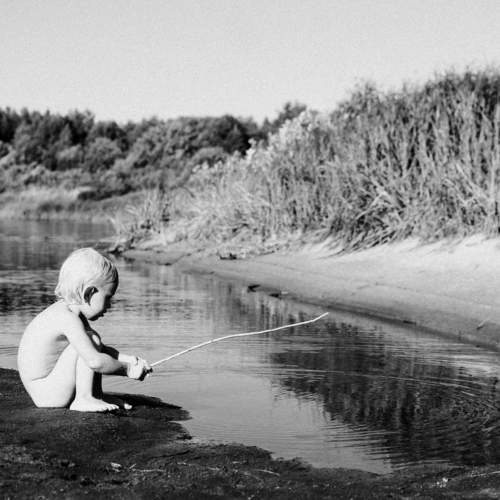 Photo #9295903