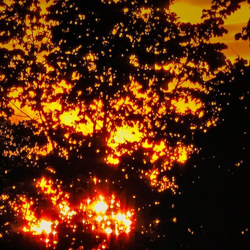 Photo #9296031