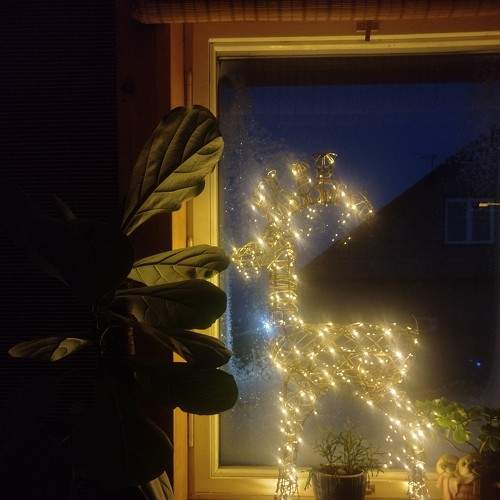 Photo #9296353